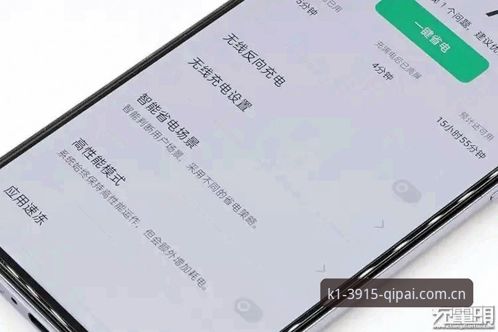 k1体育苹果版深度评测：从安装体验到竞技性能的全方位技术分析